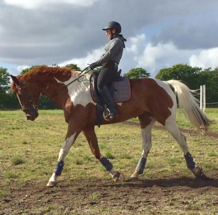 Pinto Hedens maki [HIMELHEST] billede 14