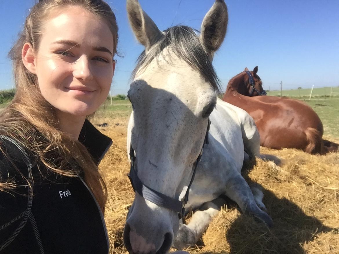 Anglo Araber (AA) Kessler - Tillid <3 08-05-2018 billede 6