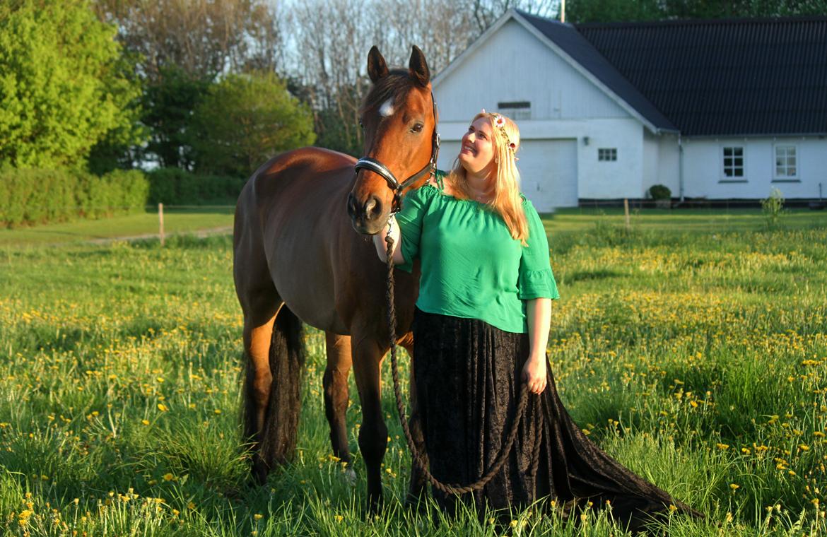 Anden særlig race Dalvangs Casper - NYT: 3 år med min vidunderlige dreng <3 <3 <3 billede 4