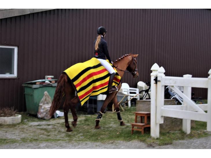 {{currentPhoto.altText}} billede {{currentPhoto.number}}