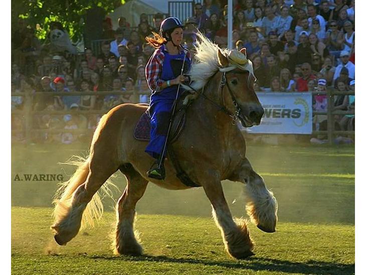 {{currentPhoto.altText}} billede {{currentPhoto.number}}