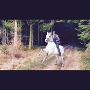 DSP Tovda's Almost perfect