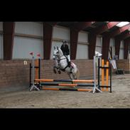 DSP Tovda's Almost perfect