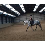 Pura Raza Española Reina CXXXVI