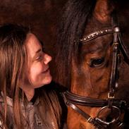 DSP Karlshøjs Attention