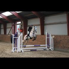 DSP Tovda's Almost perfect