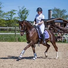 Sportsaraber (A) Bashir