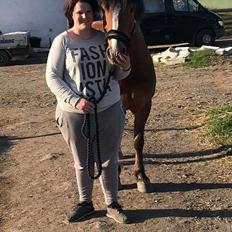 Anden særlig race Kasmir