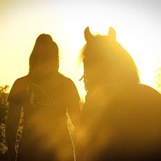 Welsh Cob (sec D) Groves G.I. Jane *Misser*