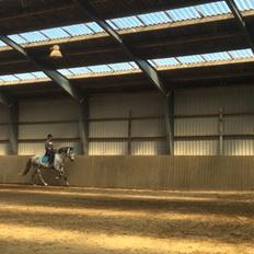 Pura Raza Española Reina CXXXVI