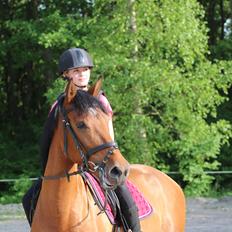 Anden særlig race Rocio