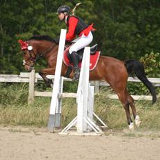 DSP Stidsbjergs Poncho