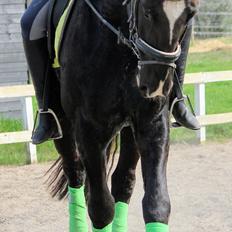 Oldenborg Elias af Lundsager