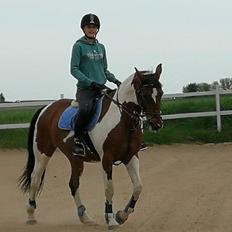 Anden særlig race Tulle Ørnhøj