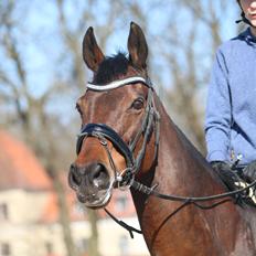 Fuldblod (XX) Madame de Jour XX (den) (Smilla)