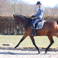 Fuldblod (XX) Madame de Jour XX (den) (Smilla)