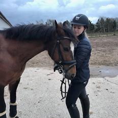 New Forest Odbjergs Tzatziki