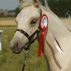 DSP Ørnagergård Caluni