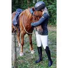 Islænder Eldingur fra Rønnow