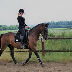 Anden særlig race Josefine.