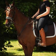 Fuldblod (XX) Hjortebo's Anatta