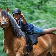 Anden særlig race Revsgaards primo