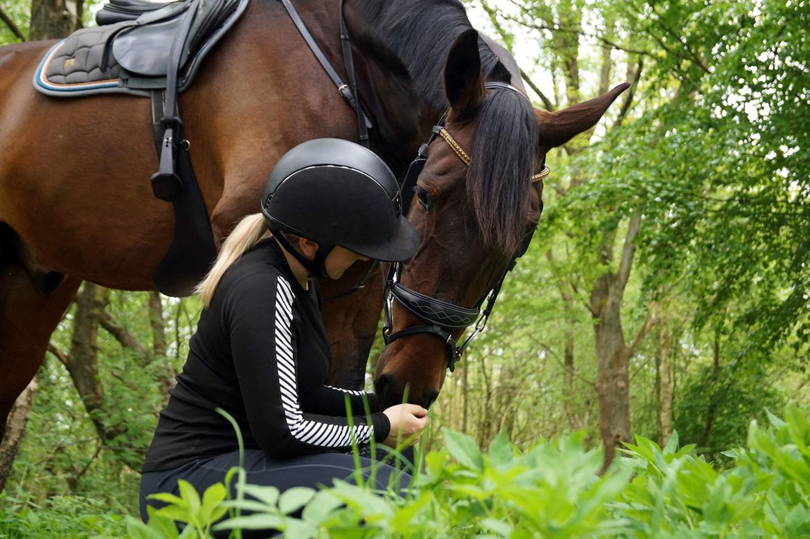 Oldenborg Cornett  billede 7