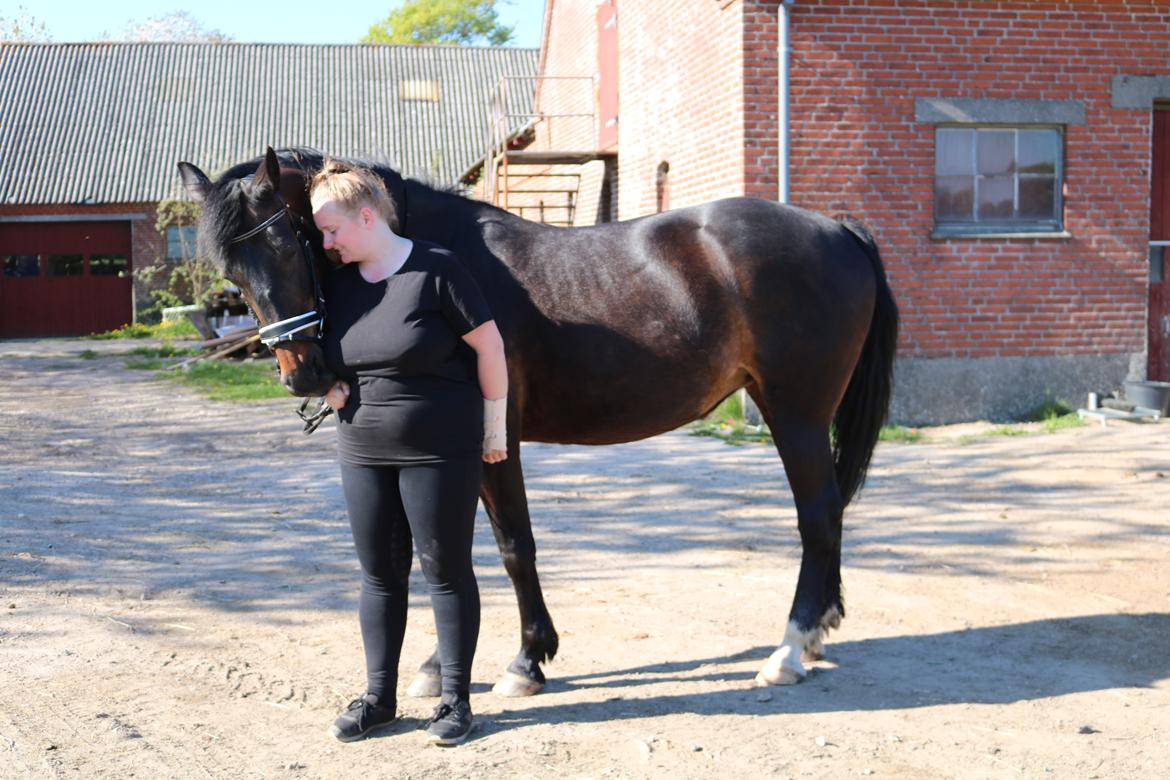 Oldenborg Shanti billede 5