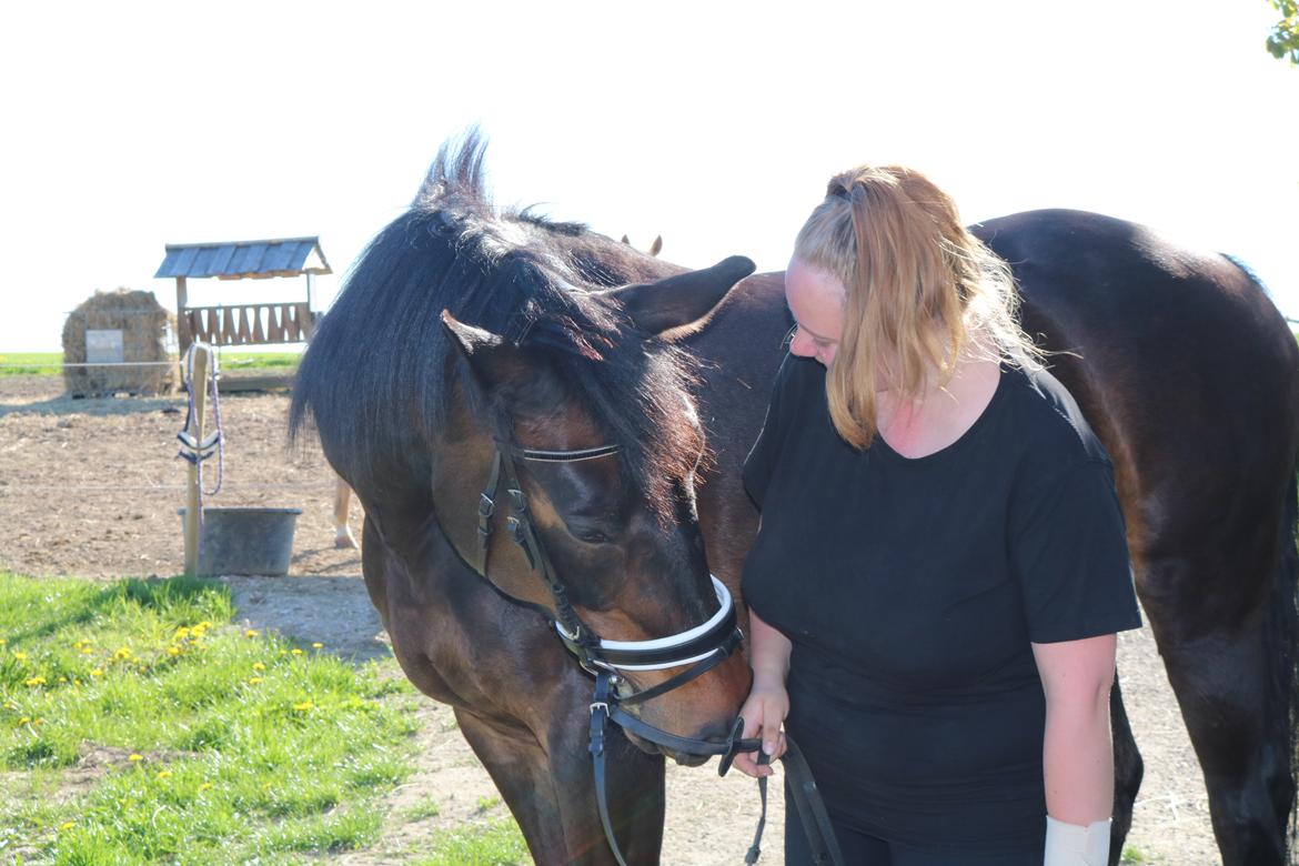 Oldenborg Shanti billede 3