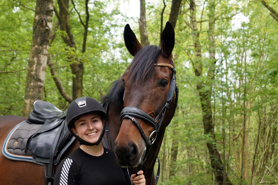 Oldenborg Cornett  billede 40