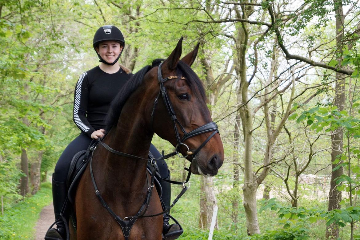 Oldenborg Cornett  billede 35