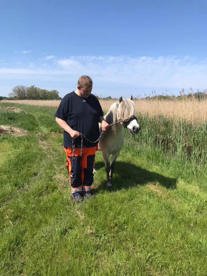 Welsh Mountain (sec A) Team J Nielsen's Felix billede 19