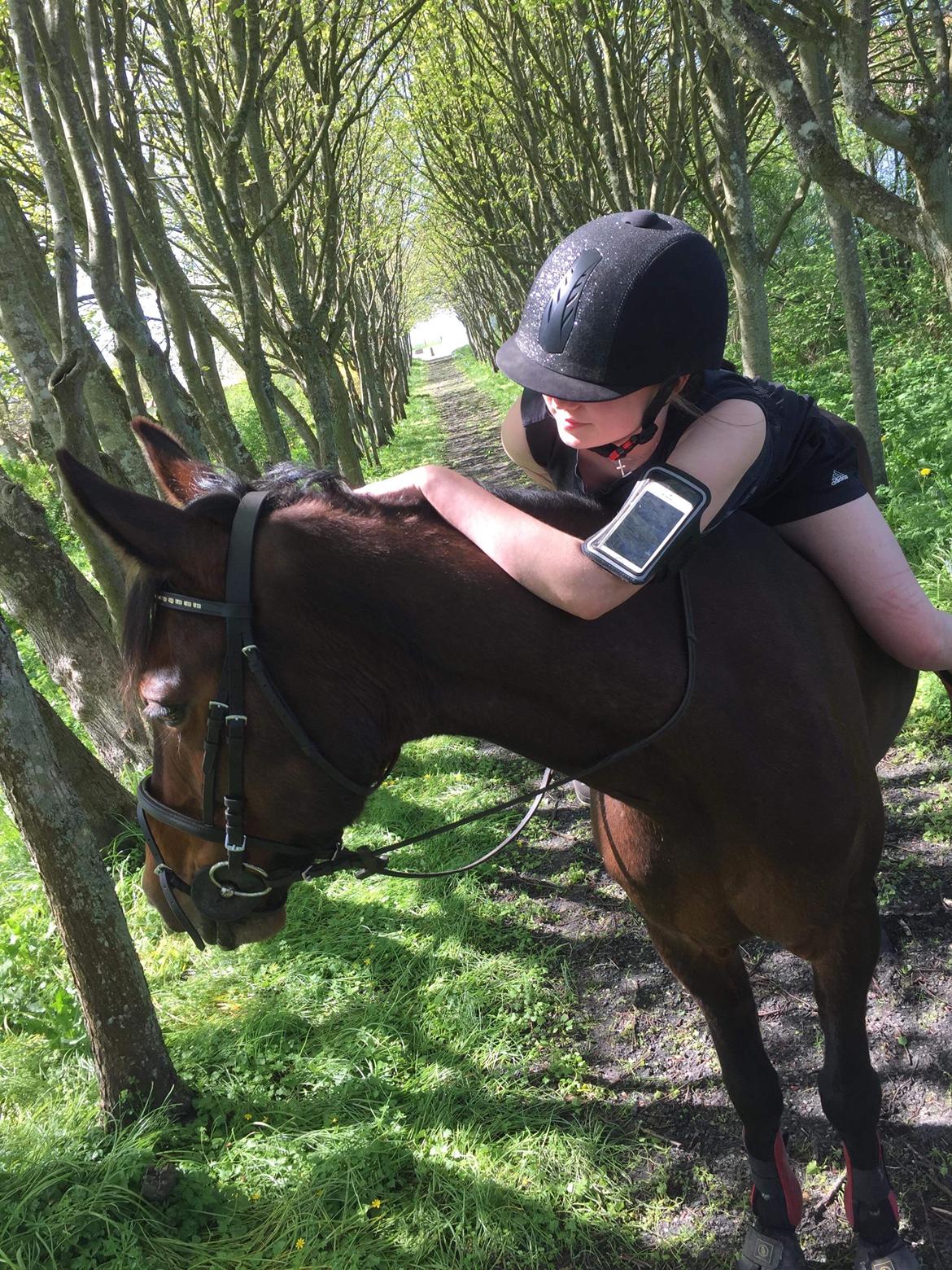 Traver Bette Nøk S billede 15