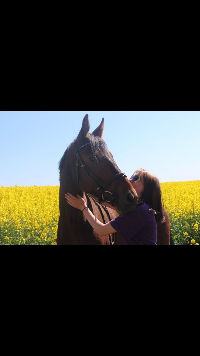 Traver Bette Nøk S billede 16