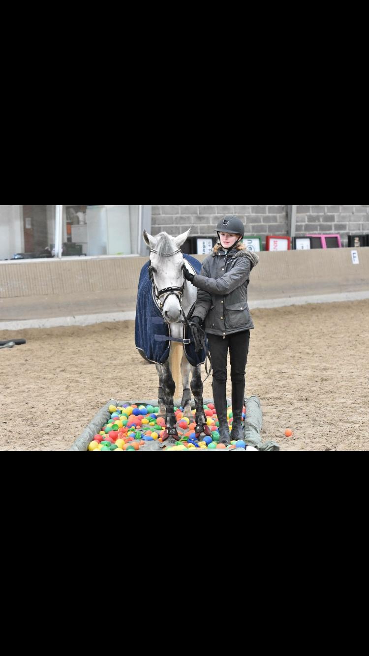 DSP Tovda's Almost perfect billede 7