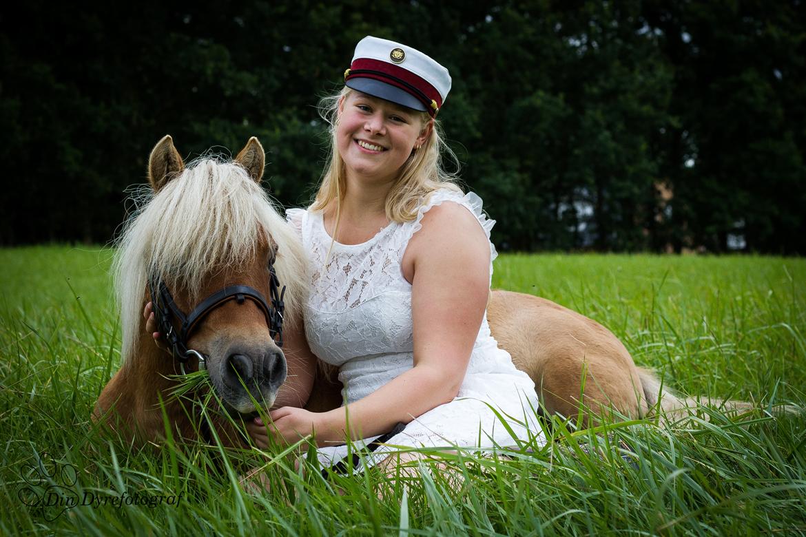 Shetlænder Dotzauers Frederik billede 19