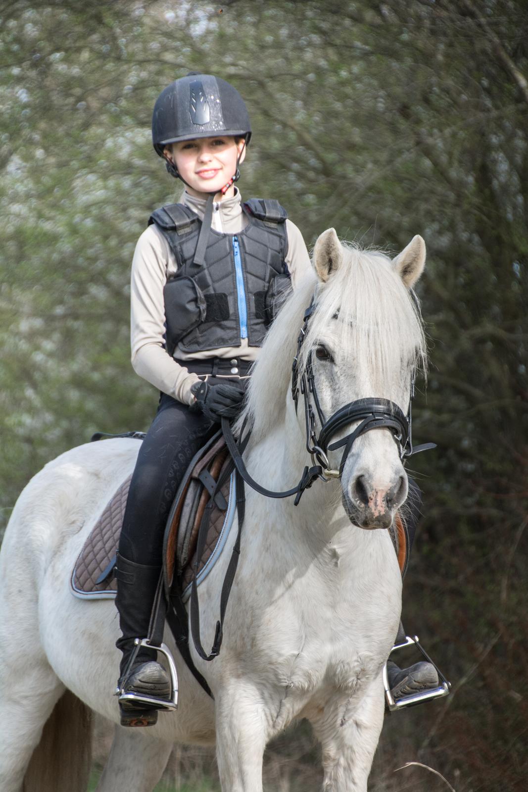 Irsk Sportspony Munsboro Charm billede 3