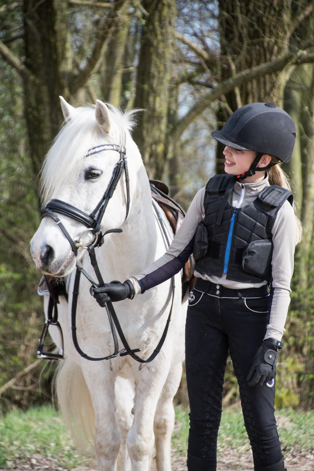 Irsk Sportspony Munsboro Charm billede 5