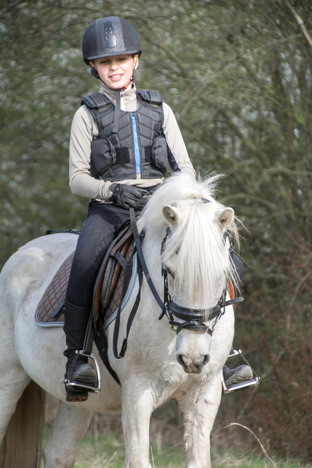 Irsk Sportspony Munsboro Charm billede 6