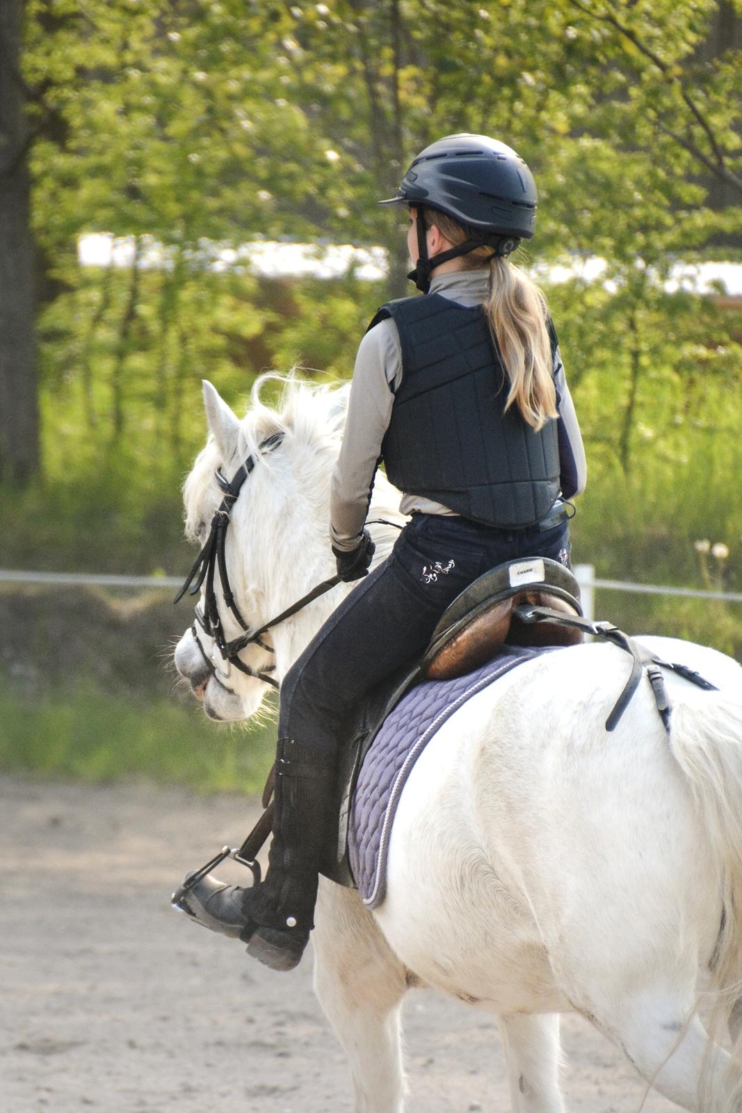 Irsk Sportspony Munsboro Charm billede 9