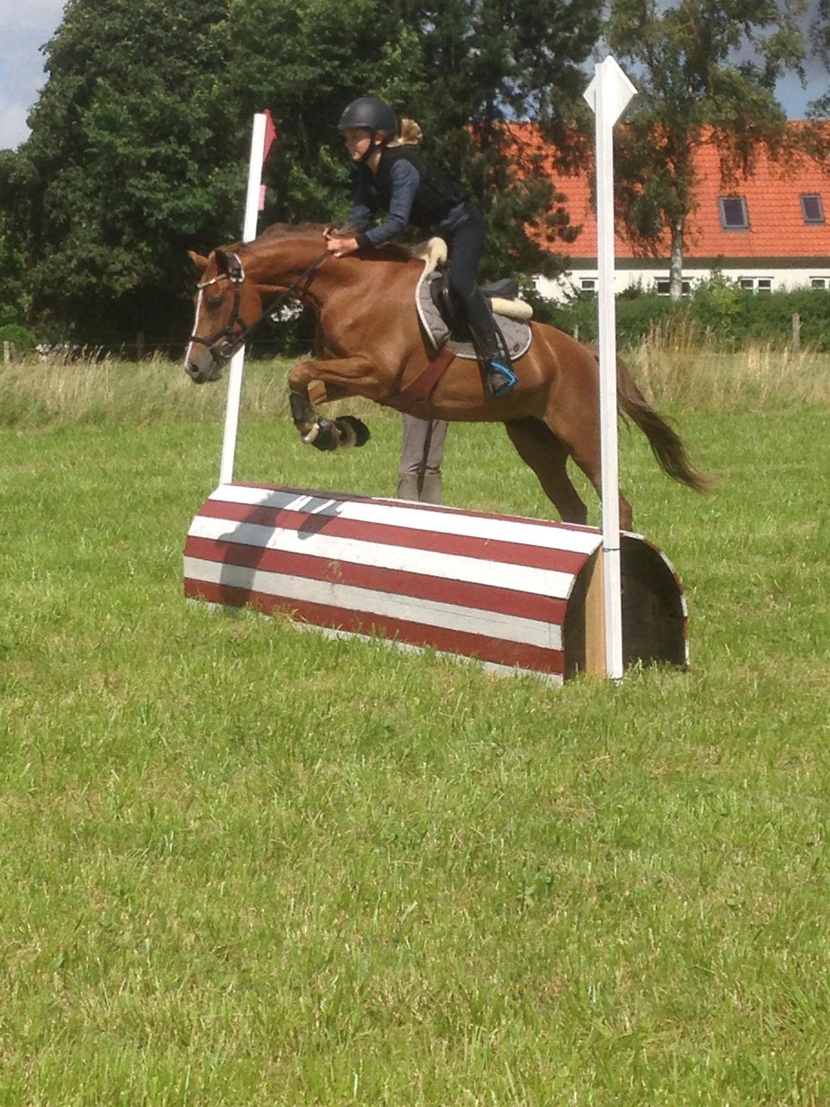 DSP Toftegaards quatro billede 1