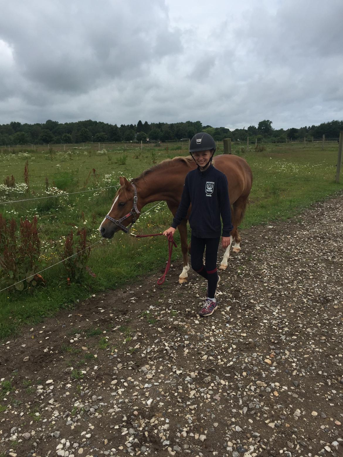 DSP Toftegaards quatro billede 2