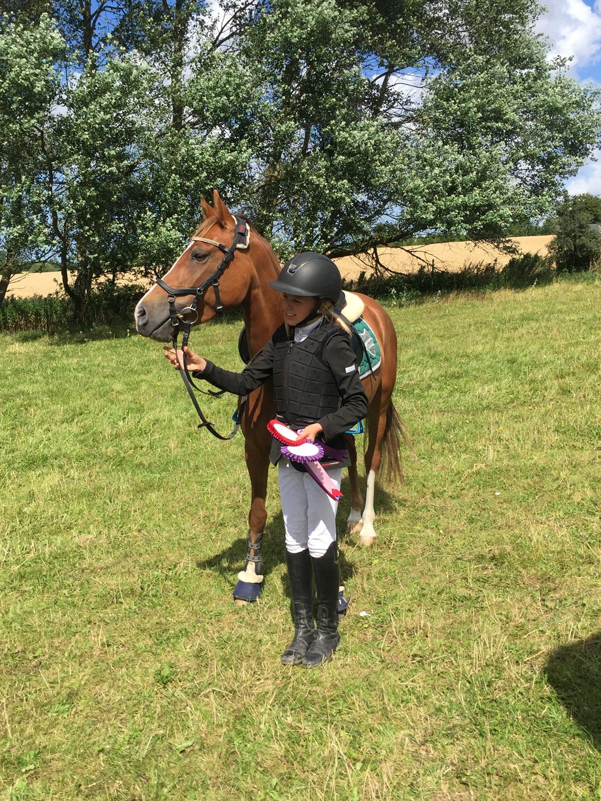 DSP Toftegaards quatro billede 4