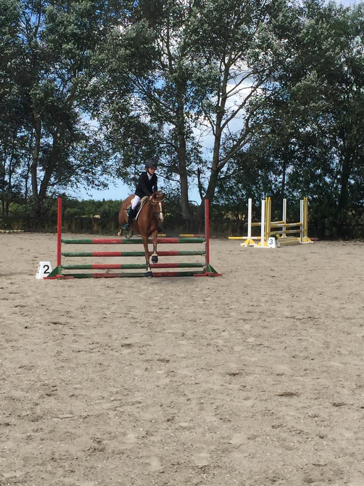 DSP Toftegaards quatro billede 5