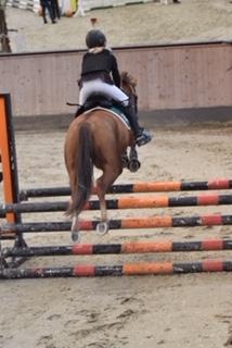 DSP Toftegaards quatro billede 6