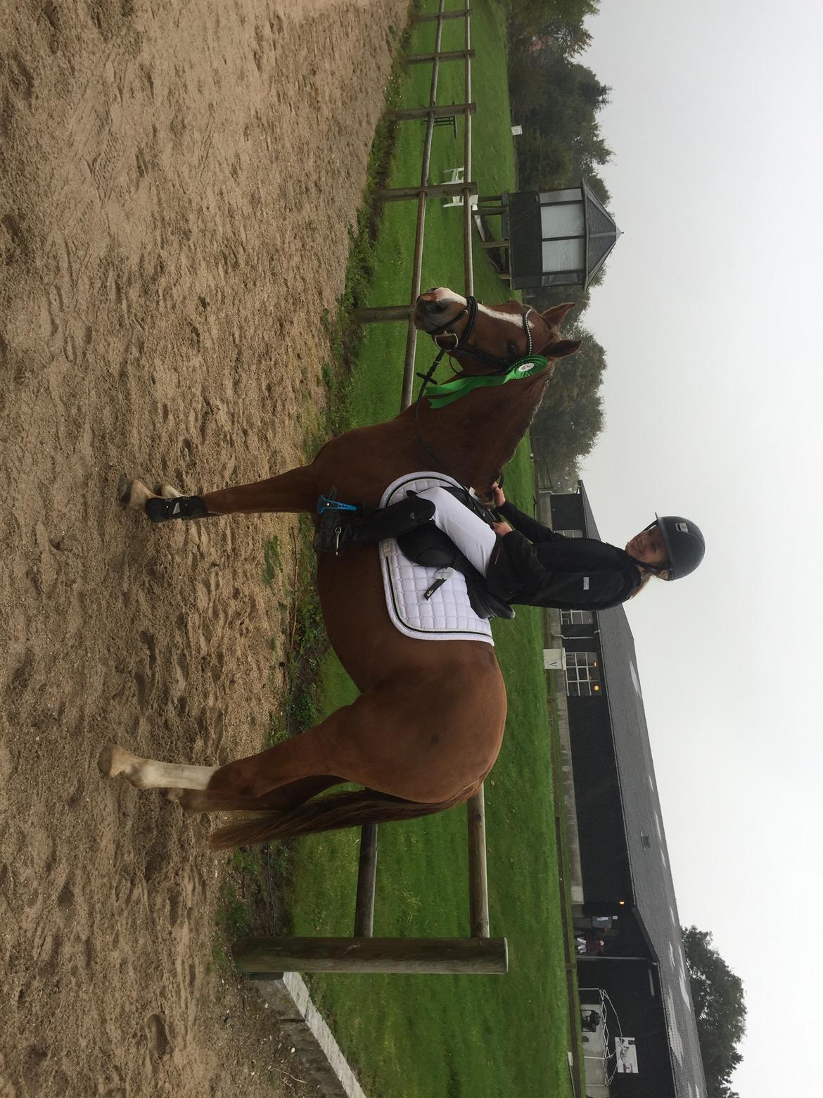 DSP Toftegaards quatro billede 7