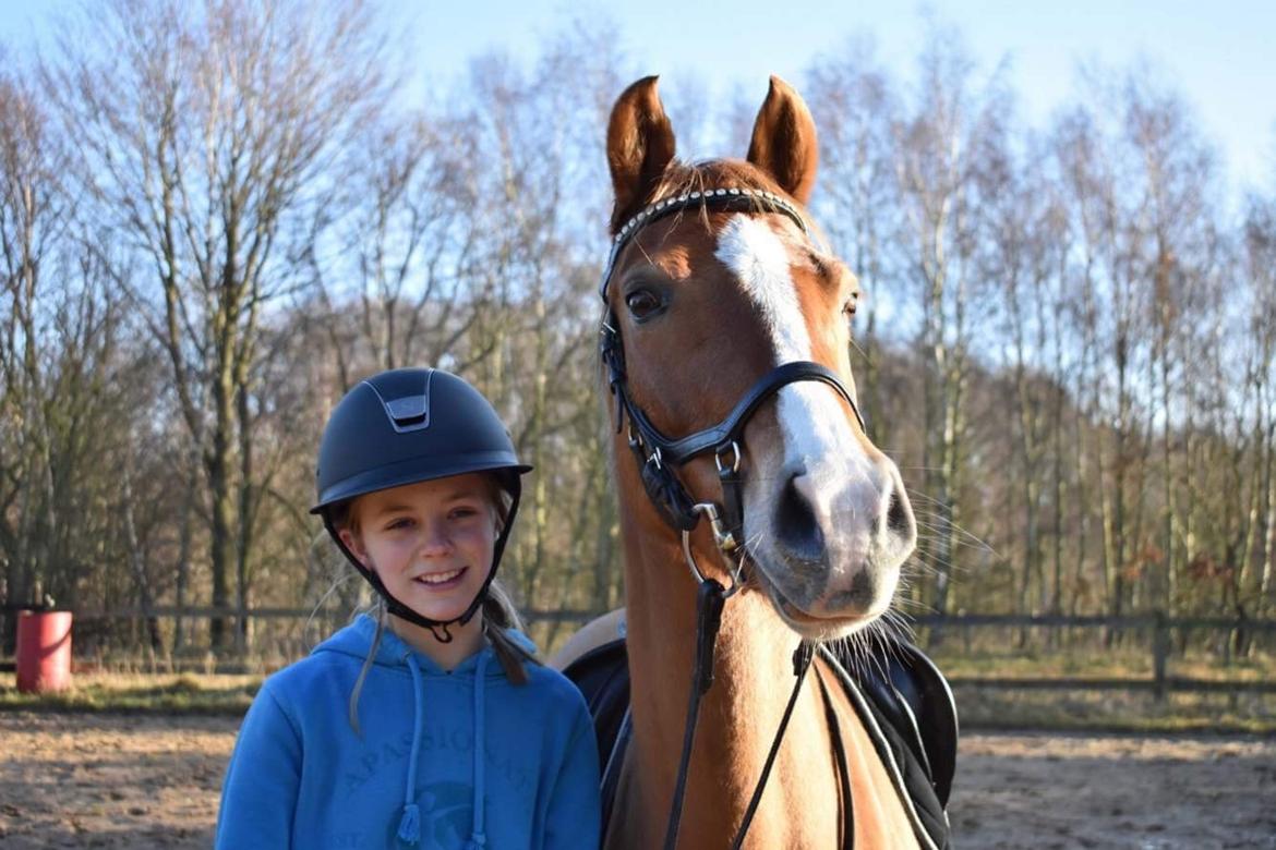 DSP Toftegaards quatro billede 10