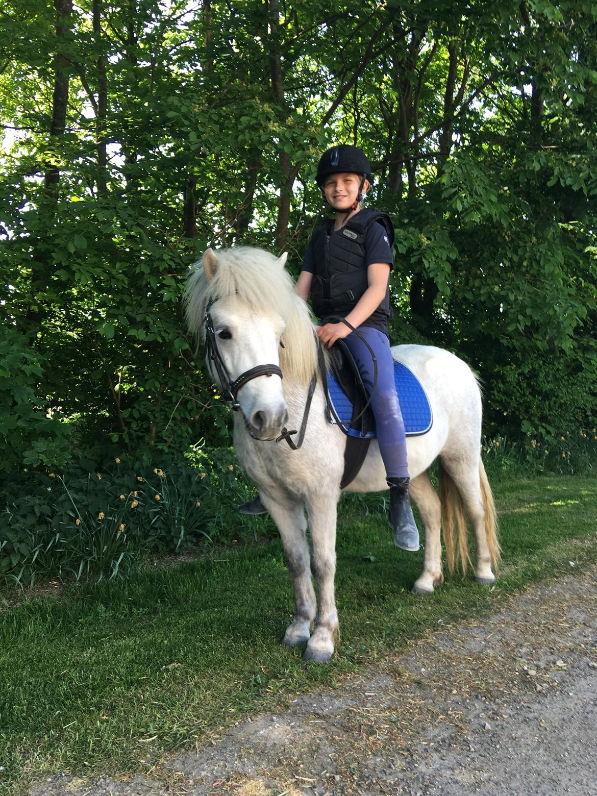 Anden særlig race Herskabs Staldens Tiko  - 18-05-2018 billede 1