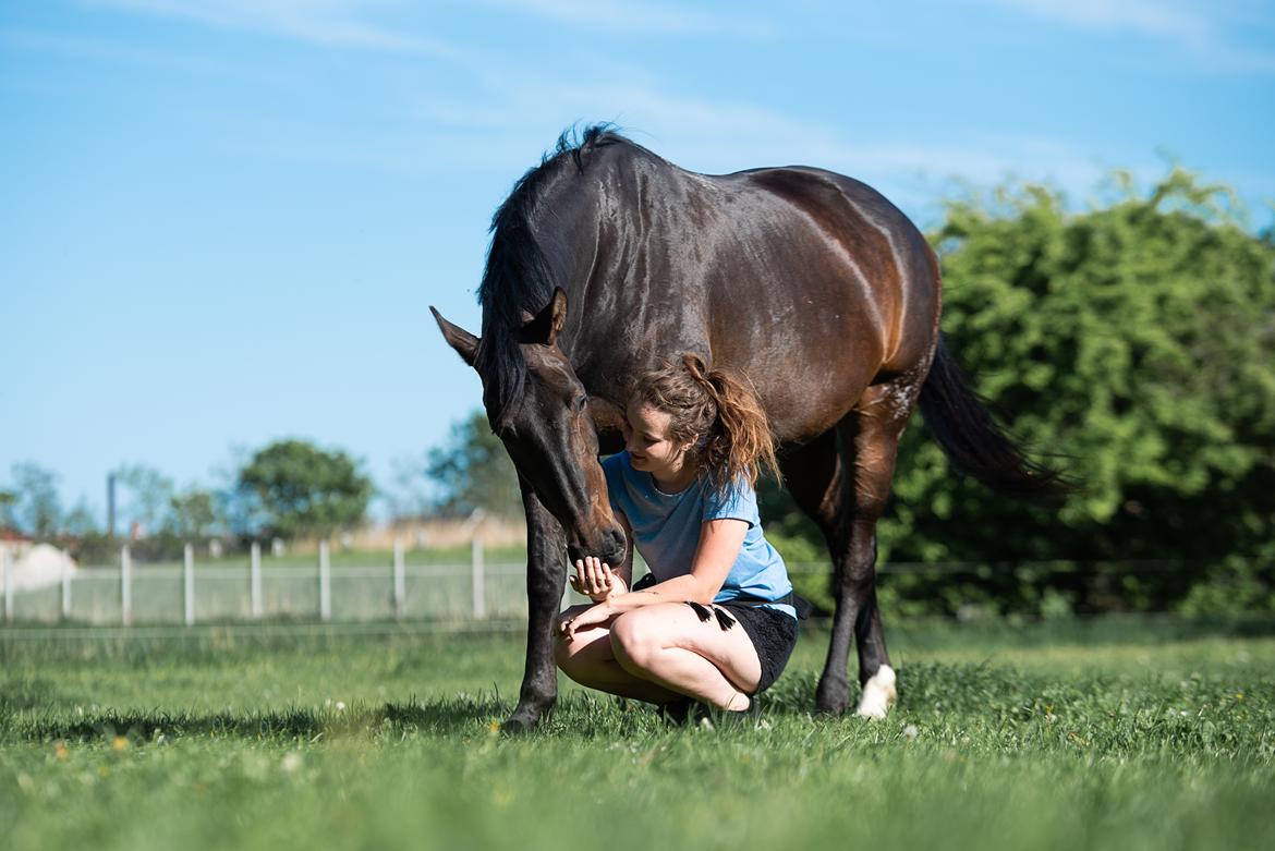 Anden særlig race | Madonna - ♥ Maj 2018.  billede 10