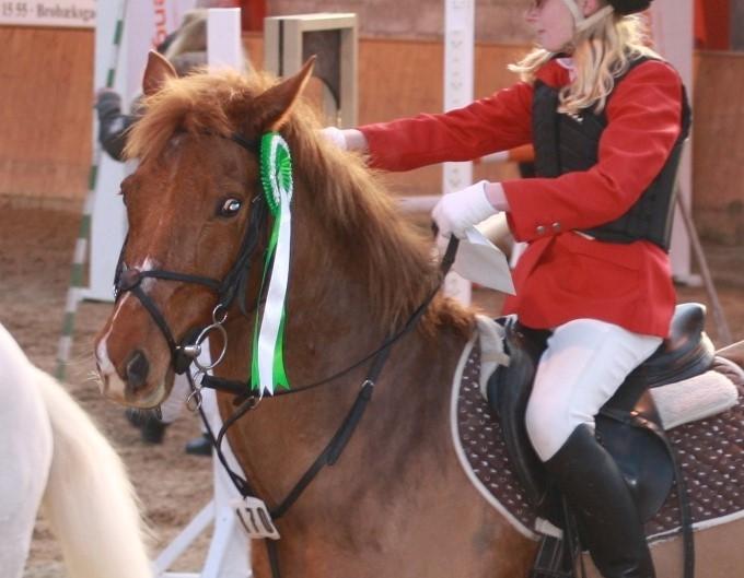 Anden særlig race Lise (DK) | Tidl. lånehest | R.I.P. billede 13